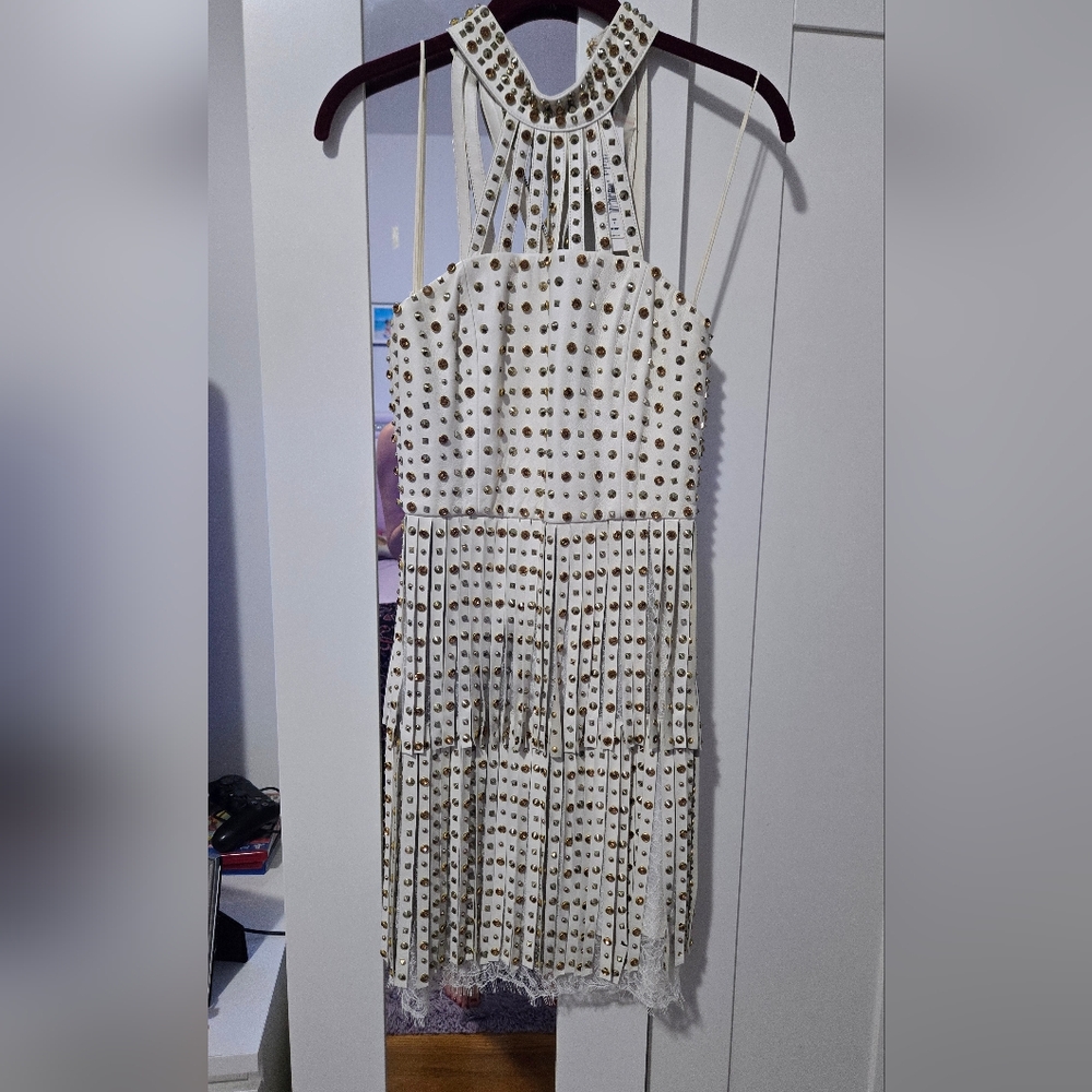 Alice and Olivia dress